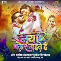 Naya Bhatar Chahte Hain (Arvind Akela Kallu, Shilpi Raj)