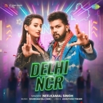 Delhi NCR (Neelkamal Singh)