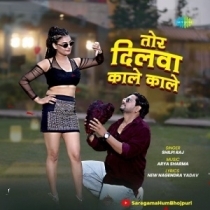 Tor Dilwa Kale Kale (Shilpi Raj)